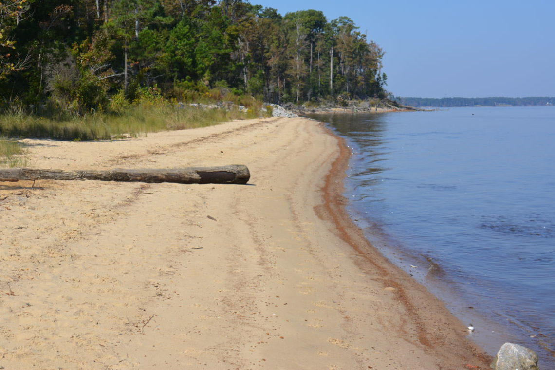 Newest Neuse River