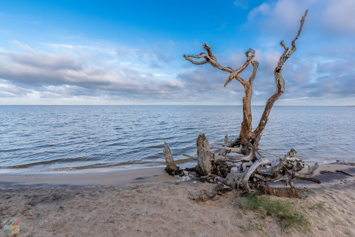 Cape Hatteras National Seashore