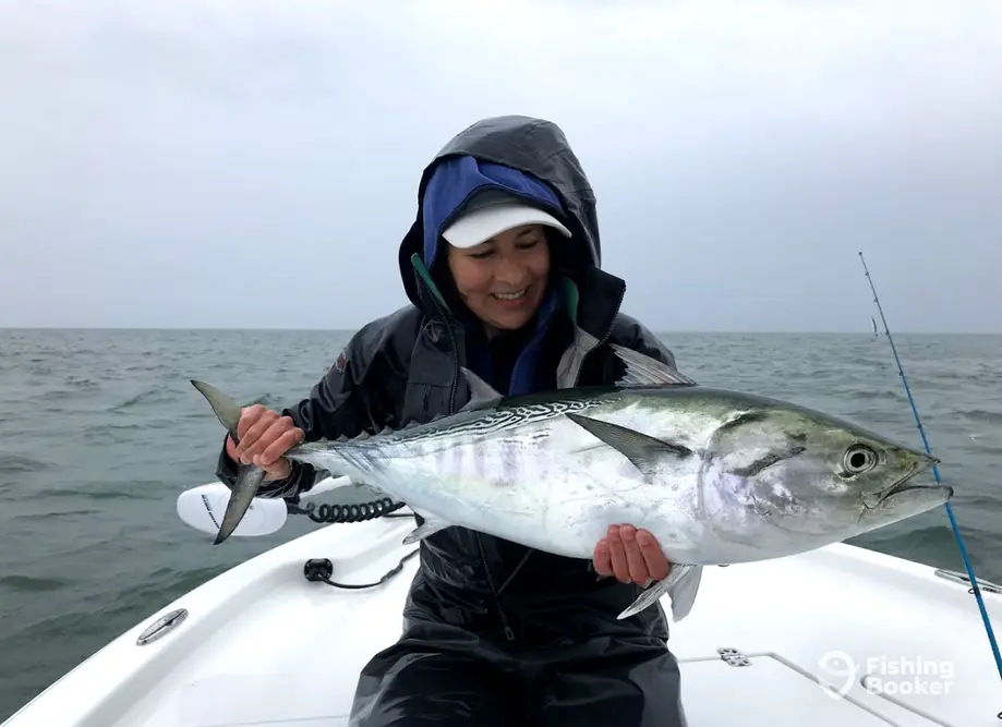 charter image 2