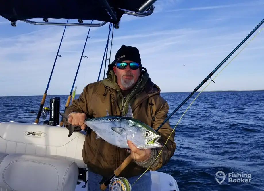 charter image 3