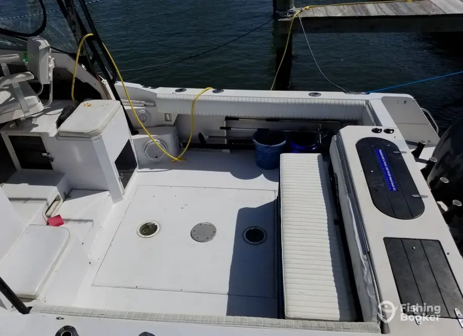 charter image 6