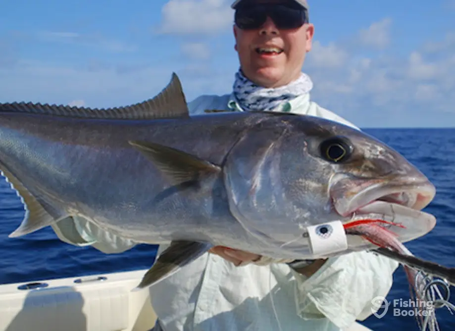 charter image 2