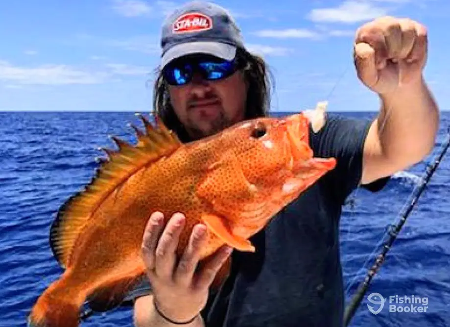 Offshore Outlaw Fishing Charters charter image 5