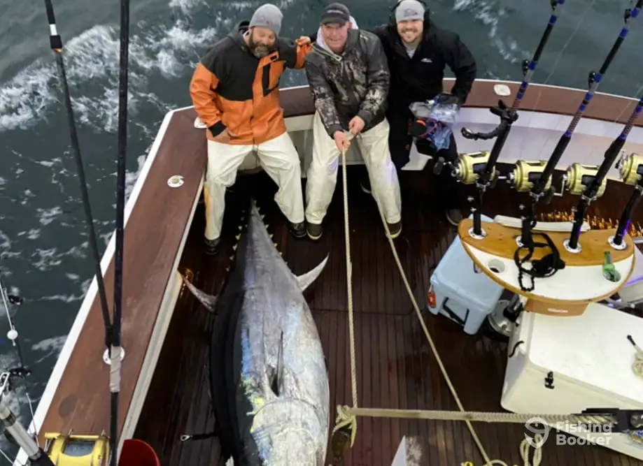 charter image 3