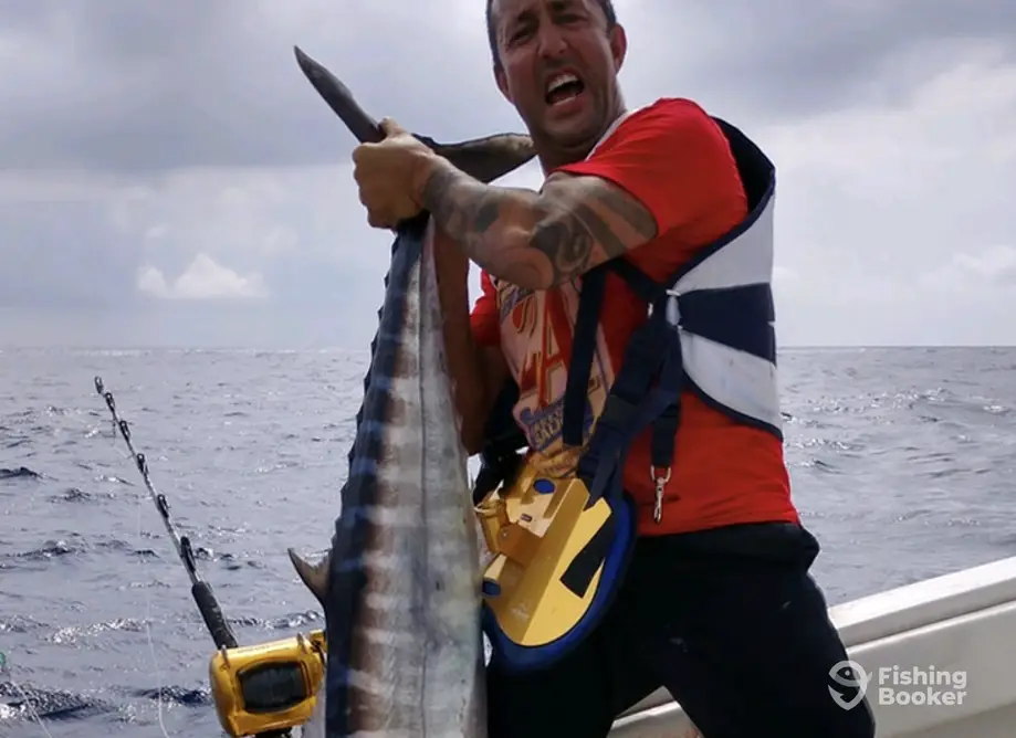 charter image 5