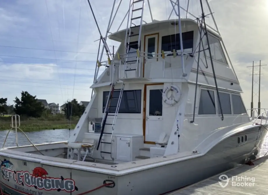 charter image 6