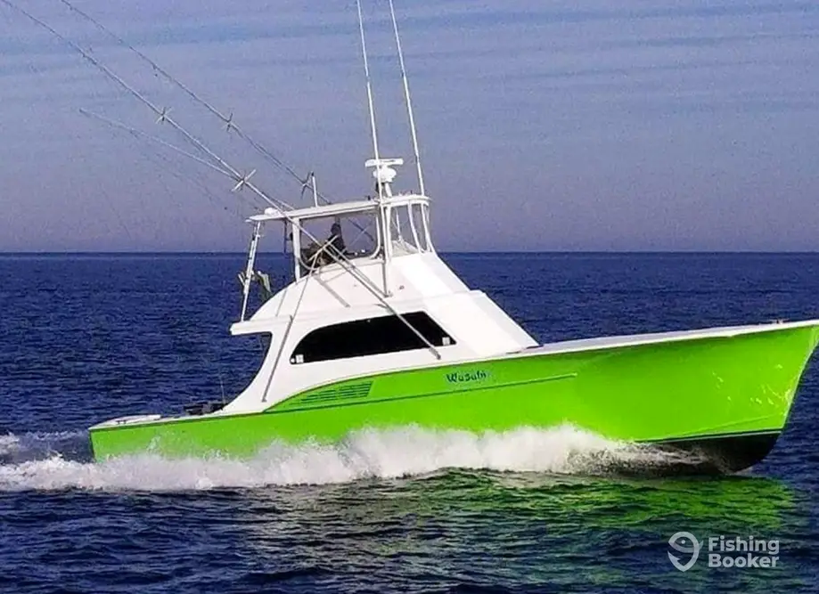 Wasabi Sportfishing charter image 4