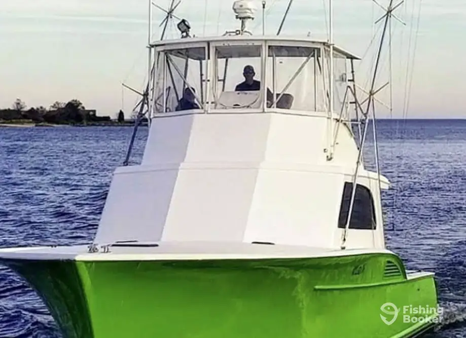 Wasabi Sportfishing charter image 5