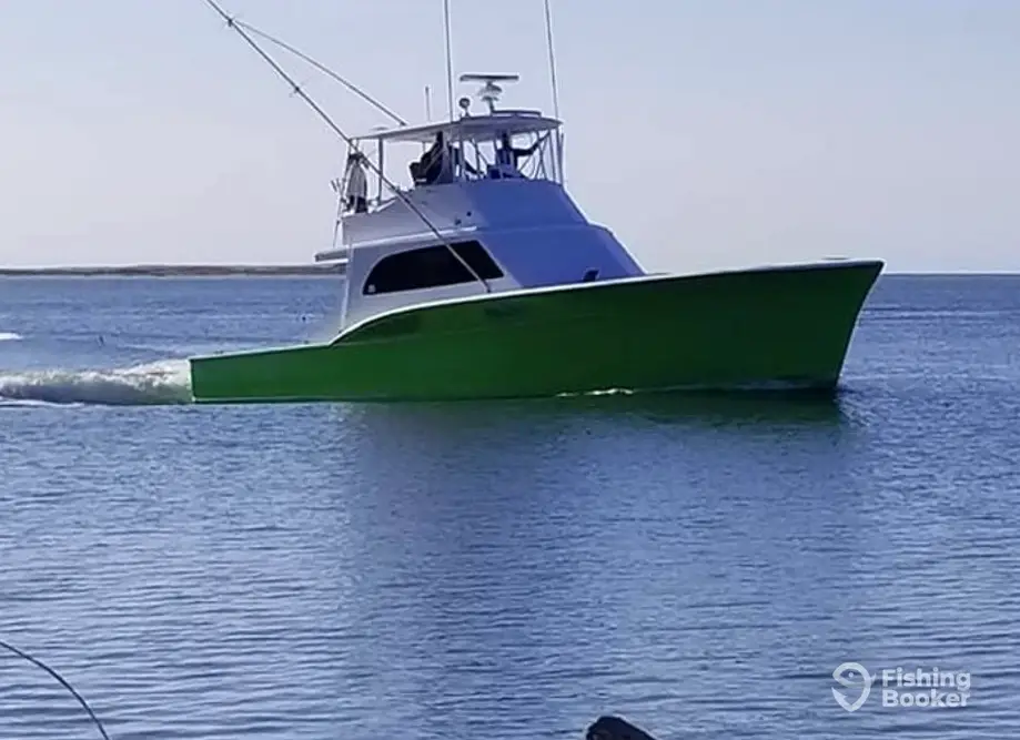 Wasabi Sportfishing charter image 6