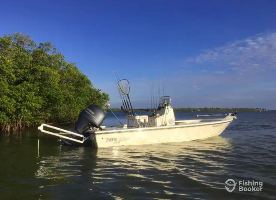 charter image 6