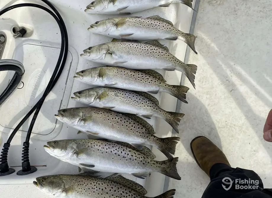 Buck Nasty Fishing Charters charter image 4