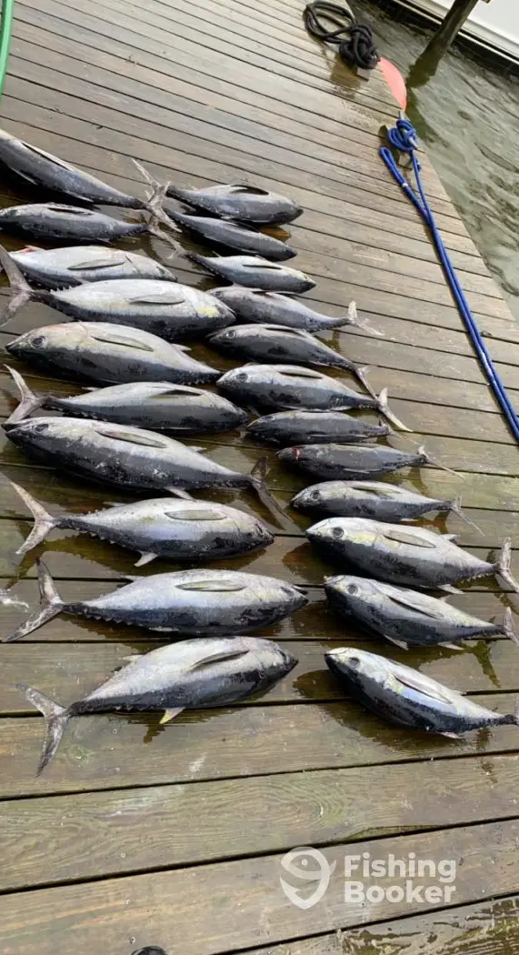 charter image 5