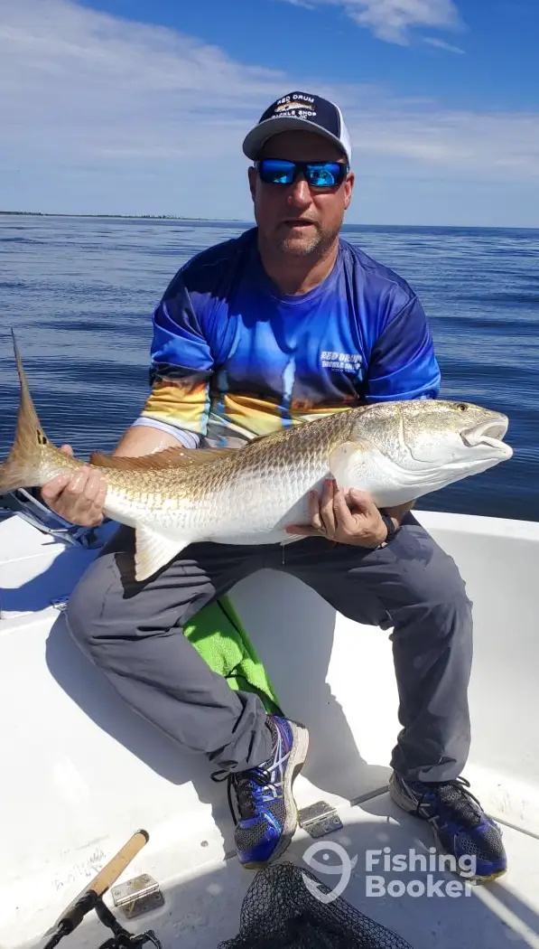 charter image 5