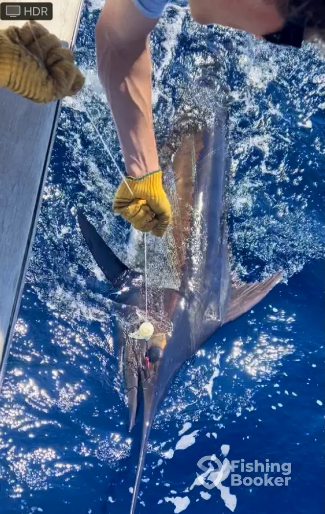 charter image 3