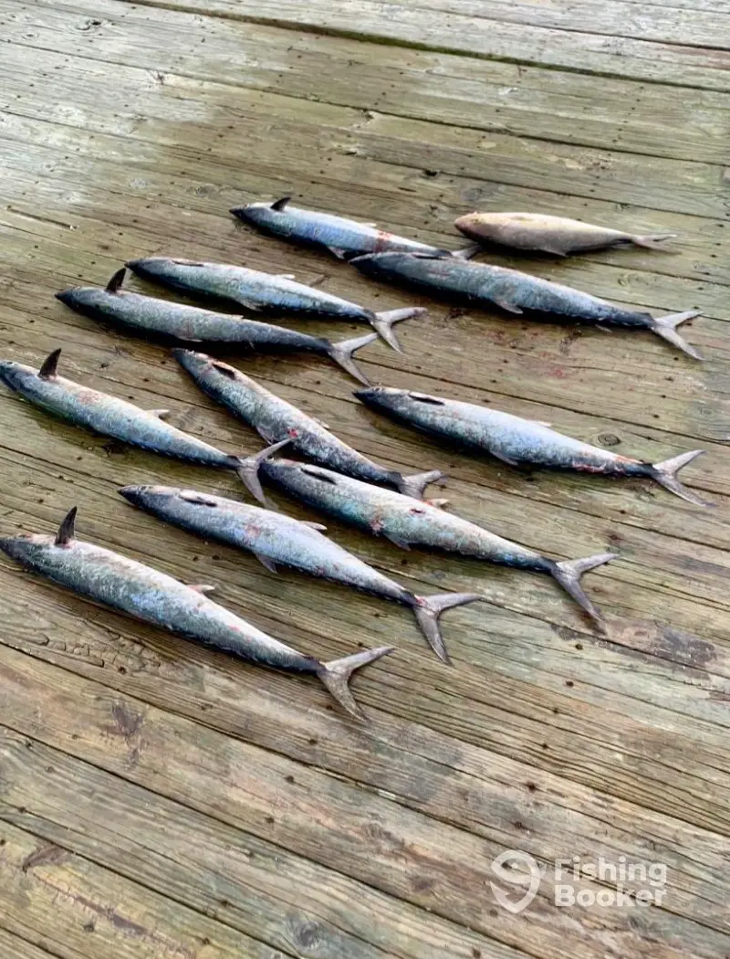 charter image 4
