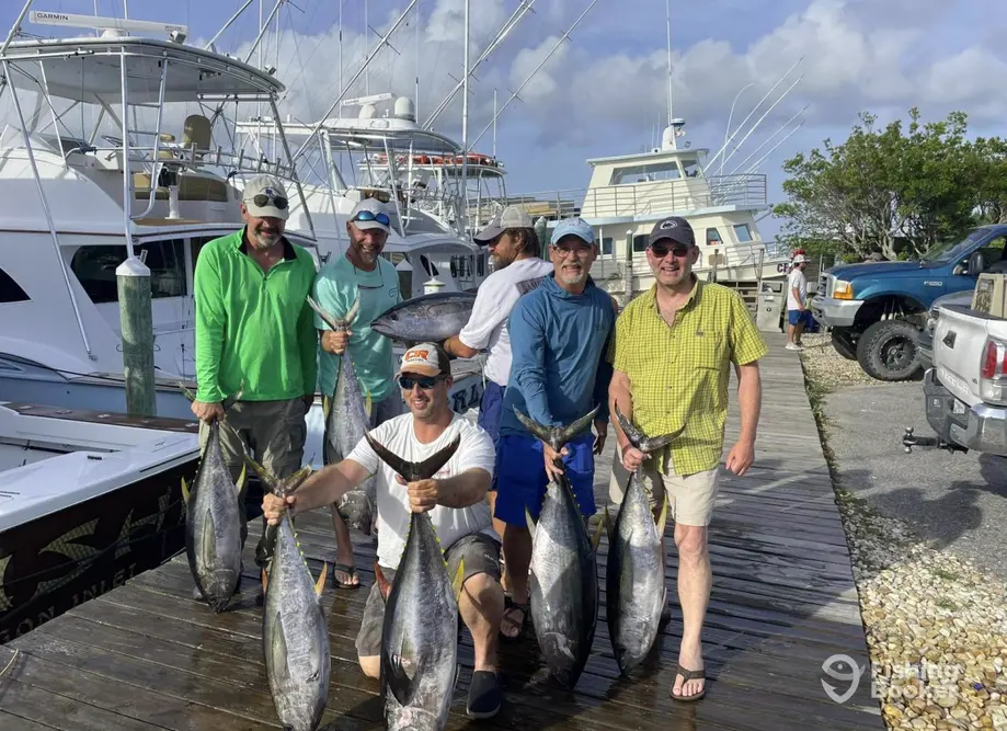 charter image 2