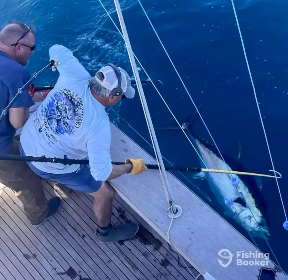 charter image 3