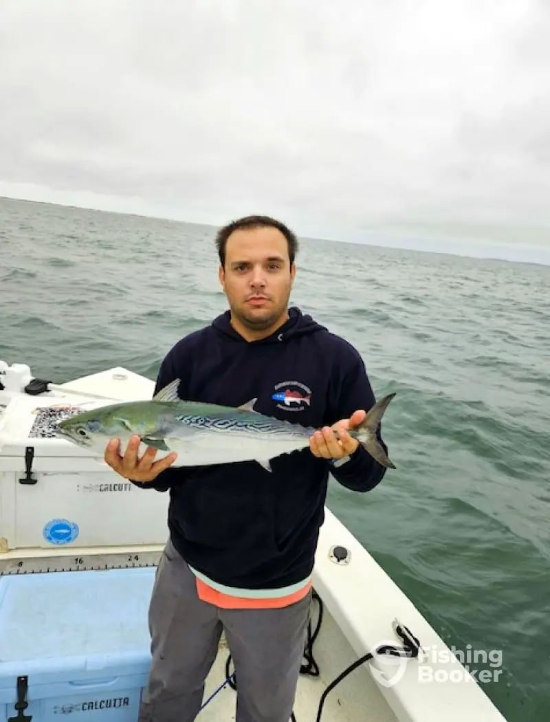 charter image 3
