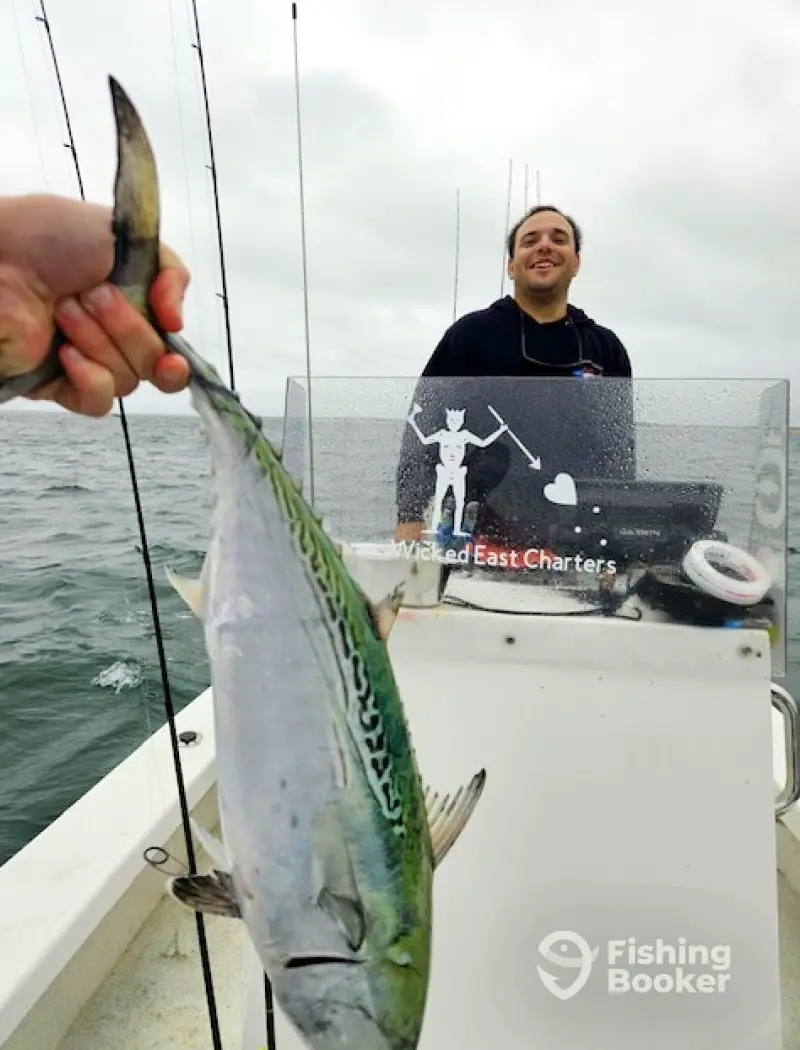 charter image 4