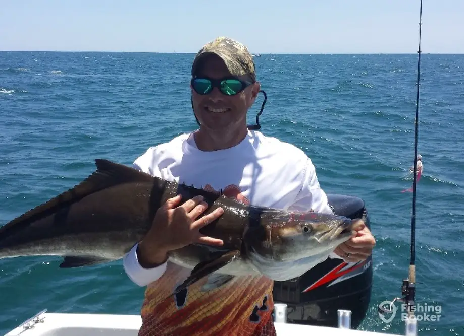 charter image 6