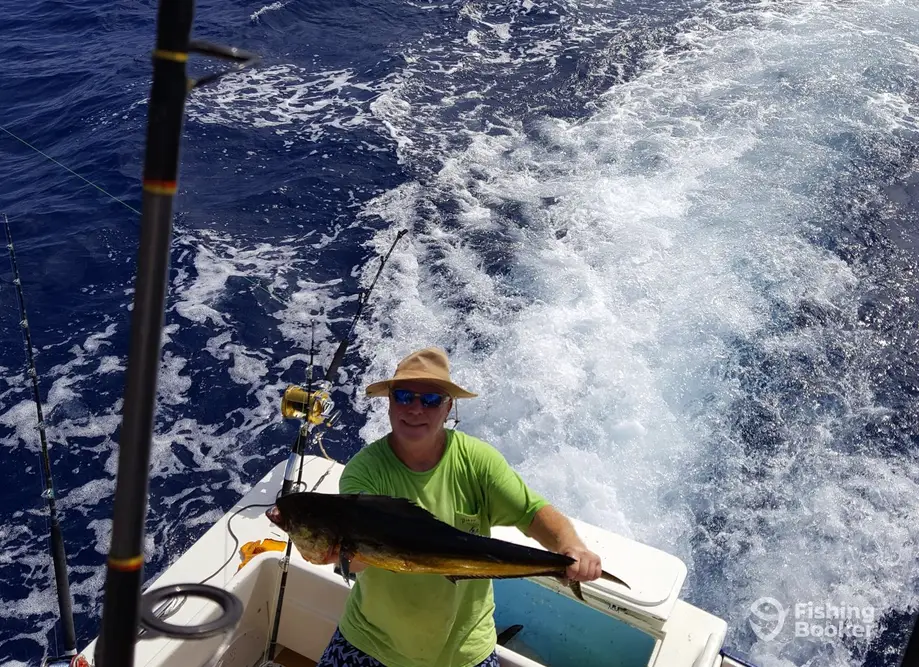 charter image 6