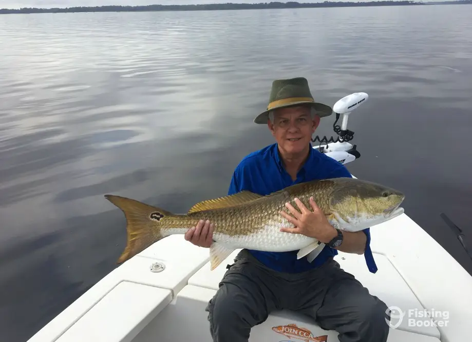 charter image 2